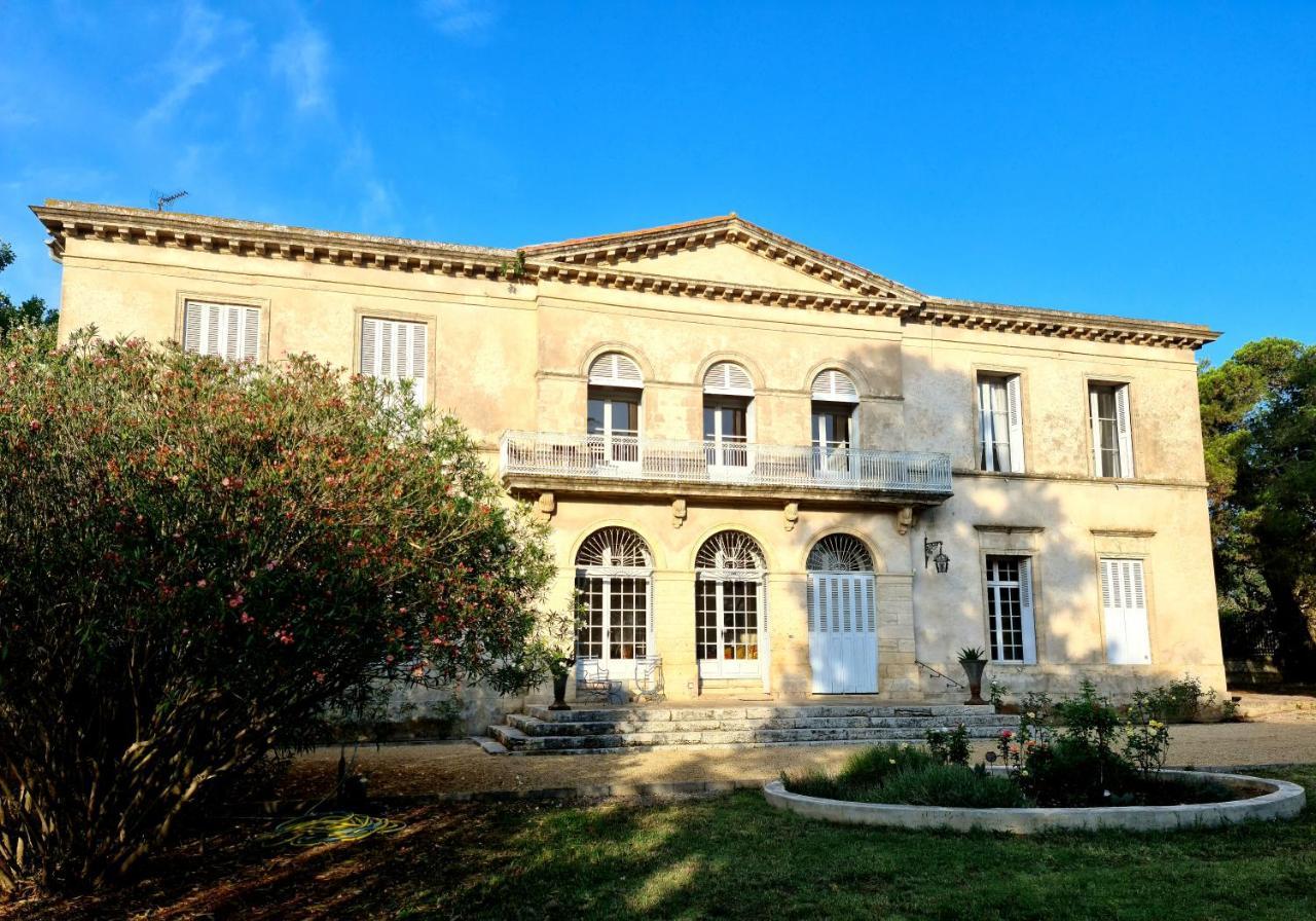 Maison de Maître Chevalier, Domaine De La Serre Saint-Thibéry Extérieur photo